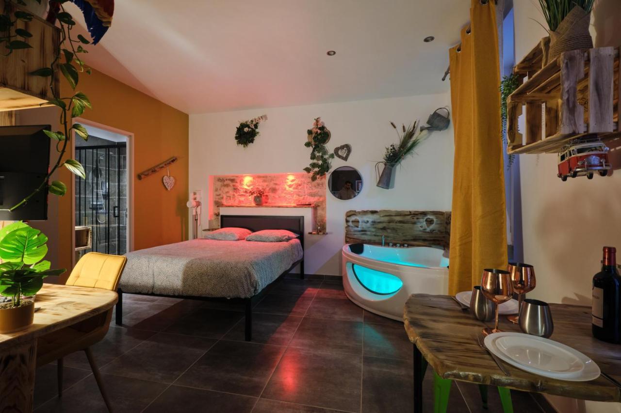 Place Carnot - Studio Tout Equipe Avec Jacuzzi Proche Toutes Commodites Каркассон Экстерьер фото